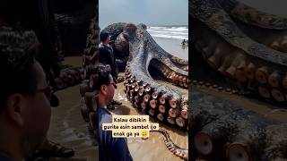 Download lagu Gurita Raksasa #monster #laut #penemuanterbaru #heboh #misteri #cumiasincabeijo #seafood #viralvideo mp3 Download lagu Gurita Raksasa #monster #laut #penemuanterbaru #heboh #misteri #cumiasincabeijo #seafood #viralvideo mp3