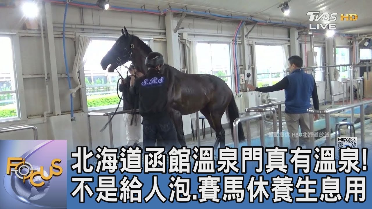 北海道函館溫泉門真有溫泉! 不是給人泡.賽馬休養生息用