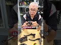 Gale Speed Brake Master Cylinders Singapore