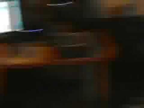 Zonaria Studio Diary (Week 1)