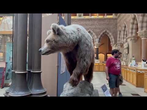 Oxford කෞතුකාගාරයේ සංචාරය 1(1)