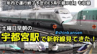 【土曜早朝の宇都宮駅】「なすの」「やまびこ」「つばさ」の怒涛の発着＆「はやぶさ・こまち」の高速通過（※一部速度付き） #shinkansen #utsunomiya