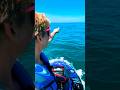 We Found Super Rare DOLPHINS While Out On Our Jetskis