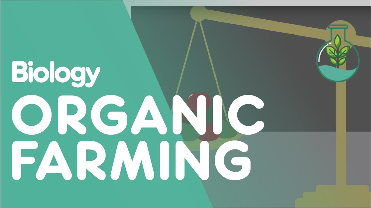 Environmental Impact of Organic Farming