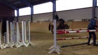 Video von Concentus 4