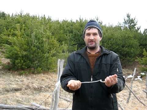 Pronalazenje vode rasljar Mladen Milikic