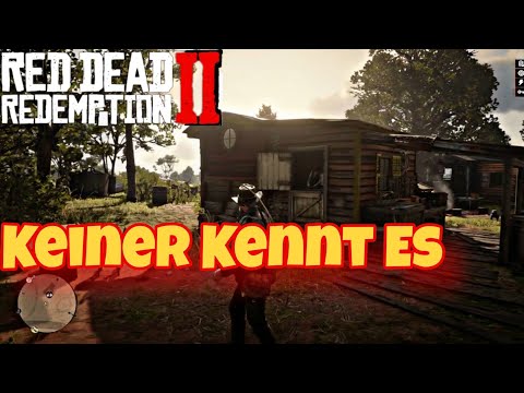 Nur 1% aller Spieler kennen dieses Geheimnis😱 | Red Dead Redemption 2