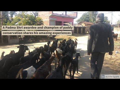 MNREGA Success Stories thumbnail