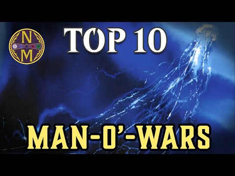 MTG Top 10: Man-O'-Wars | Bounce Creatures | Magic: the Gathering | Episode 614