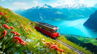 Most Scenic Train Ride in Switzerland 🇨🇭 4K Walking Tour - Rigi Railway