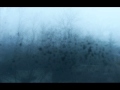 The Warlocks - Dreamless Days