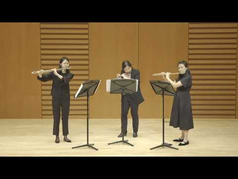 Herman Beeftink _ Birds, Trio for Piccolo, Flute and Alto flute