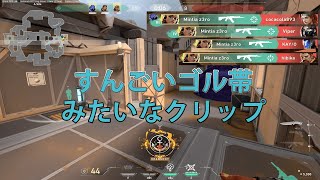 すんごいゴル帯みたいなクリップ