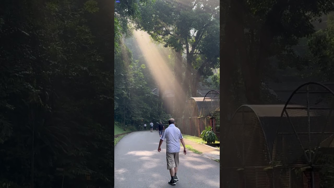 YouTube Short thumbnail