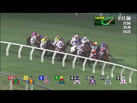 8/12/2021 (234) Mister Arm - J Moreira