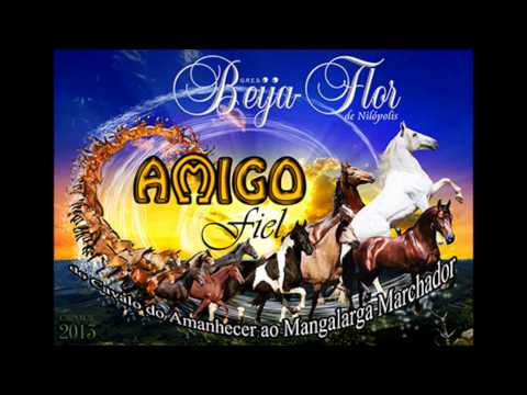 Sambas de Enredo 2013 - Beija-Flor de Nilópolis