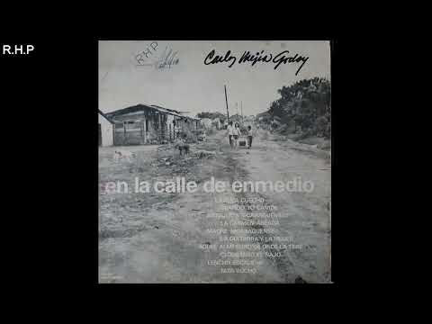 Carlos Mejia Godoy y Guayo Gonzalez - Aquel Almendro de onde la Tere
