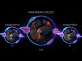 Wakanda Forever Ringtone Blackpanther Bashenga