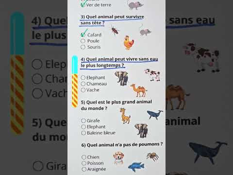 Quiz Animaux - Peux-tu le réussir ?#quiz #quiztime #culturegenerale #connaissance #animaux