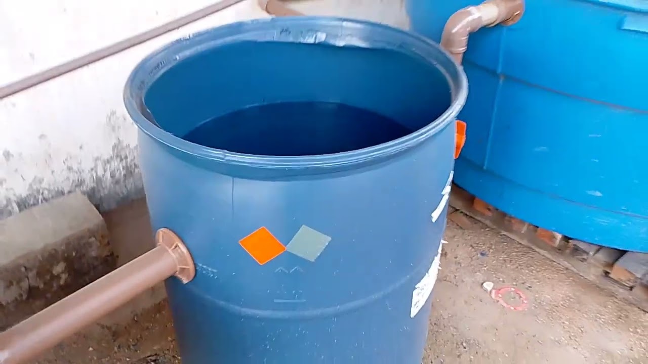 PROBLEMA DE LARVAS NO SISTEMA!