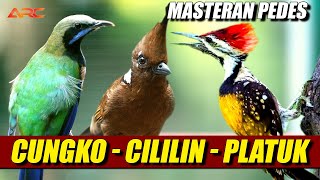 Download lagu MASTERAN CILILIN - PLATUK BAWANG - CUNGKOK | SPESIAL MASTERAN TEMBAKAN MEWAH SUPER PEDES mp3 Download lagu MASTERAN CILILIN - PLATUK BAWANG - CUNGKOK | SPESIAL MASTERAN TEMBAKAN MEWAH SUPER PEDES mp3