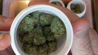 Cherry Punch 27% 🍒👊 Eustis Trulieve + Roll/smoke morning joint 👍