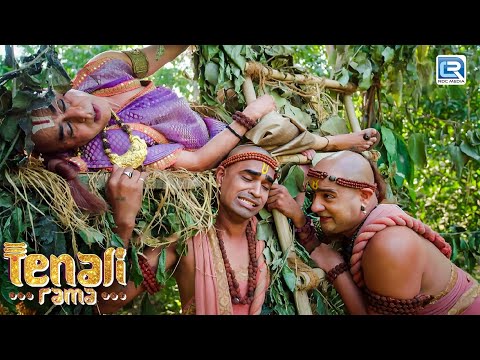 नरभक्षी बाघ के डर से काँपते हुए झाड़ियों में छिपे तथाचार्य | Tenali Rama Season 2 | New Full Episode