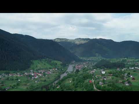 Filmare cu drona intr-o poienita din Pârâul Cârjei, Borca | Drone in air