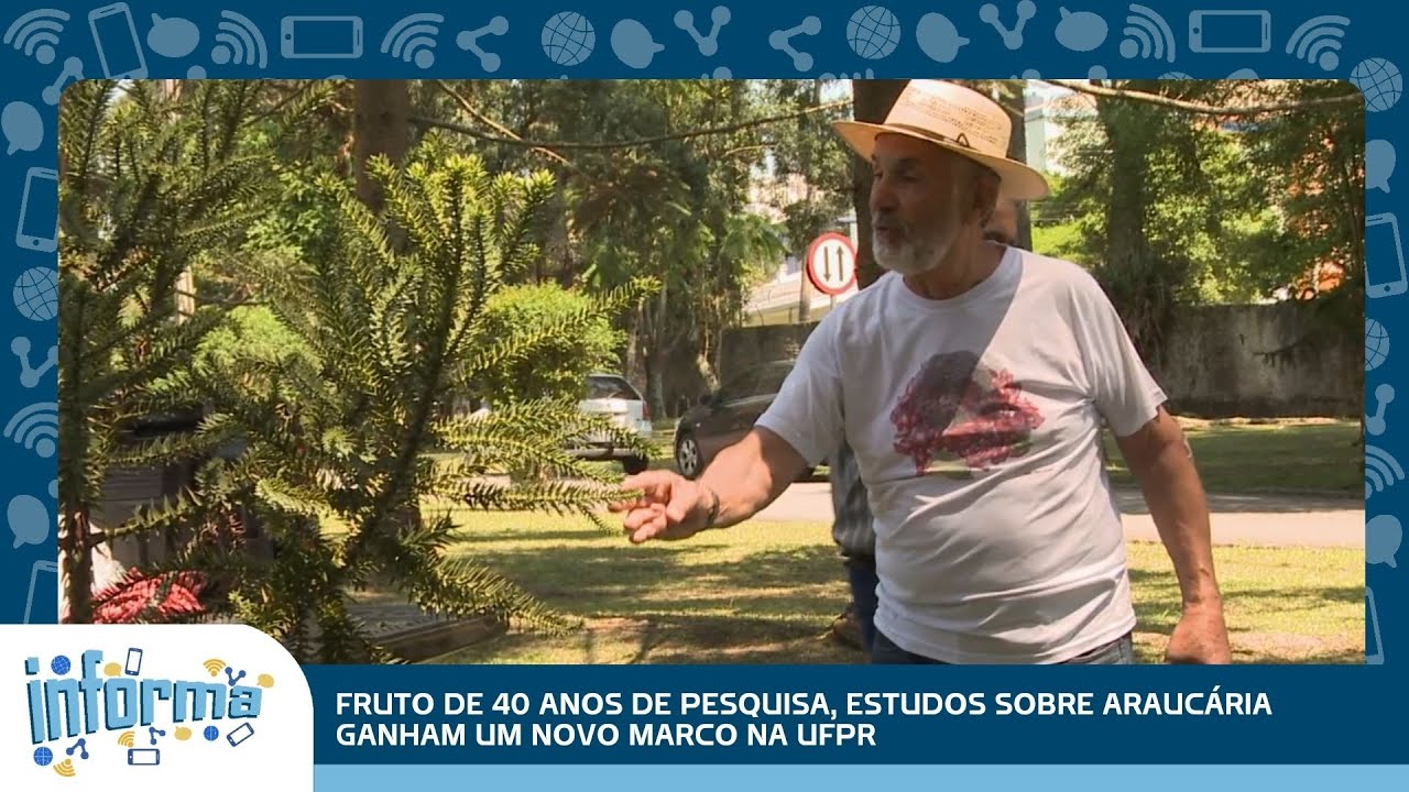 40 anos de pesquisa que geram frutos importantes para a ciência e o meio ambiente. UFPR