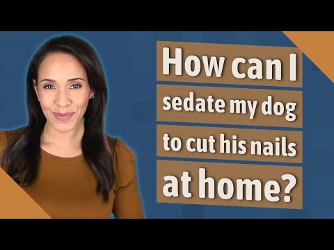 YouTube video about: How to sedate a dog for nail clipping?