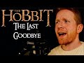 The Last Goodbye (The Hobbit/Billy Boyd) IRISH FOLK COVER