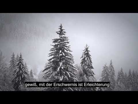 Kapitulli 94 Ngushëllimi, Recitimi Emocional I Kuranit, Nëntituj Mbi 90 Gjuhë