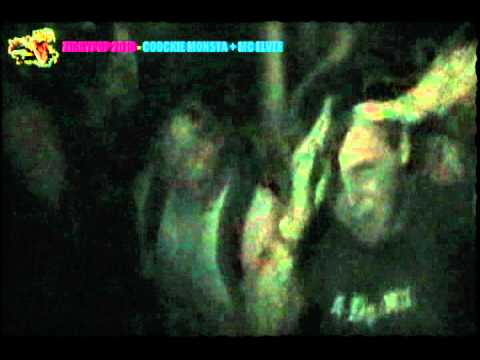 Ziggypop 2010 - Cookie Monsta + Mc Elvee 1