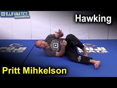 Hawking by Priit Mihkelson