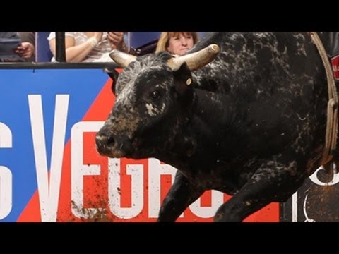 WRECK: Brant Atwood hangs up on Western Hauler (PBR)