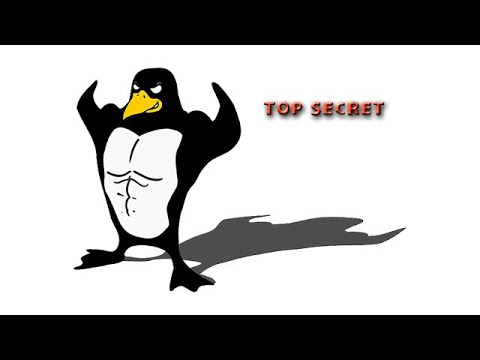 PALADINS SCRIM COOL ENTERTAINING