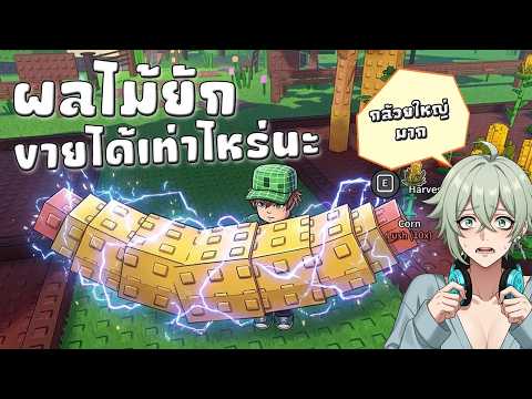ผลยักในสวนครั้งแรก จะขายได้เท่าไหร่นะ ! Garden Horizons