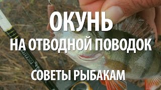 Братья щербаковы ловля окуня на волге с берега