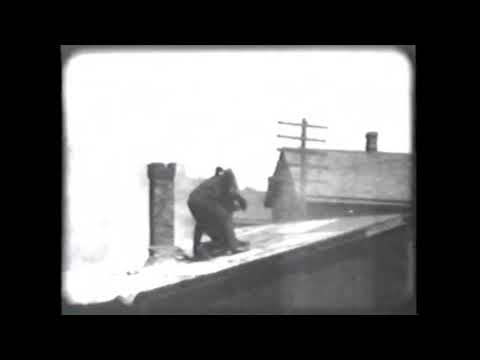 The Black Viper (1908) AM&B