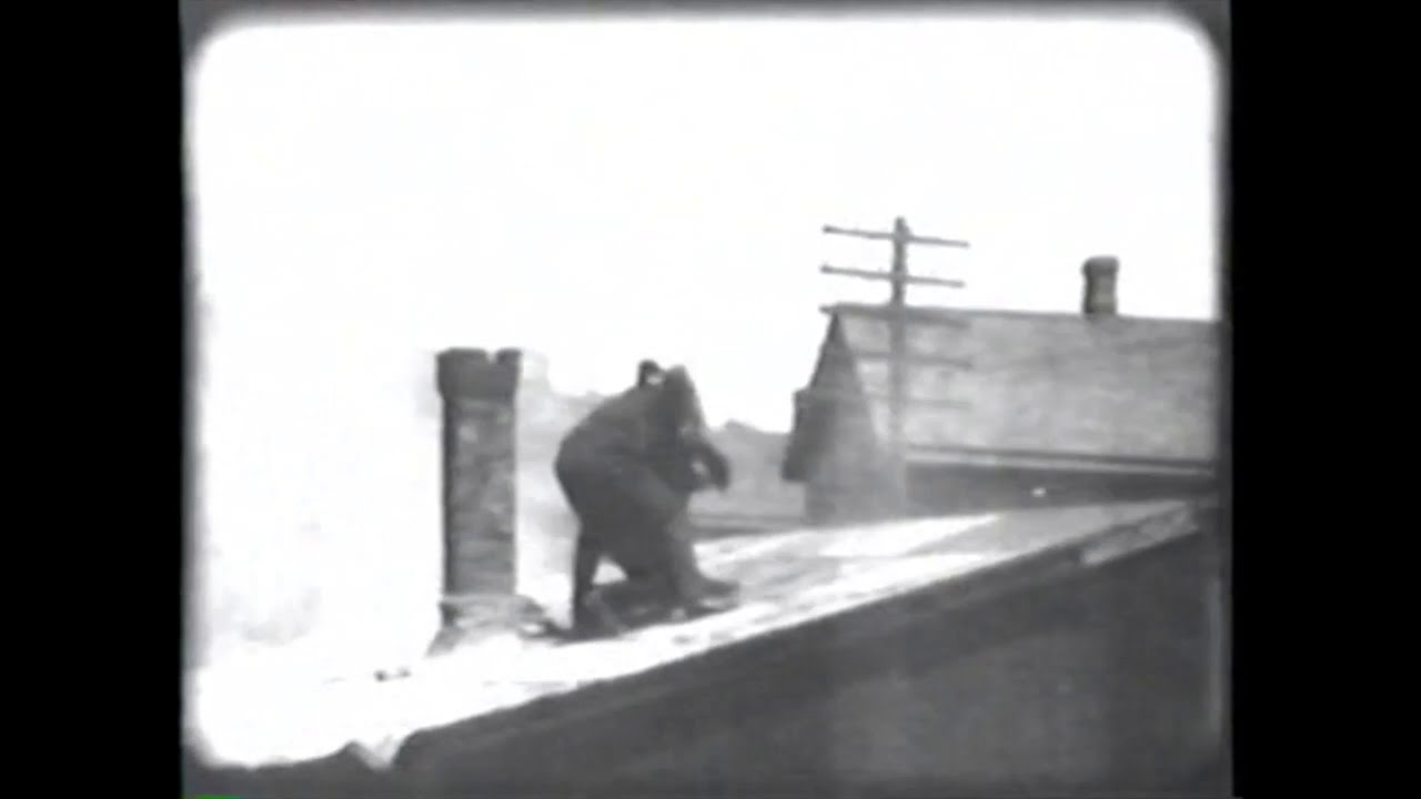 The Black Viper (1908) AM&B