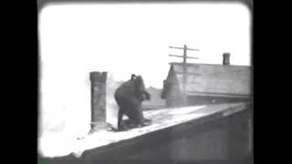 The Black Viper (1908) AM&B