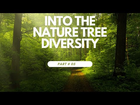 Tree Diversity , Why is biodiversity so important?