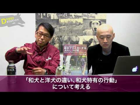 私の犬は多くの注意を要求しますが、これは正常ですか?