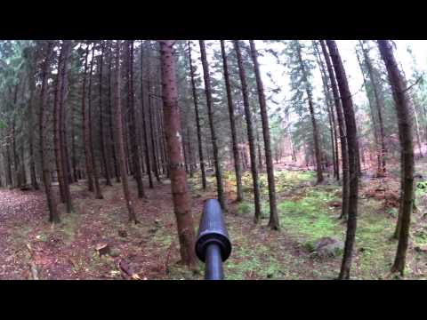 Drevjakt Johannishus. Galt 183kg. Wildmark Ullared. Garmin Virb