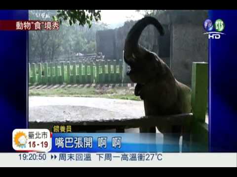 壽山動物餵食秀 3萬人搶看!