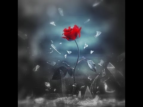 Lỗi lầm - Tha Phương