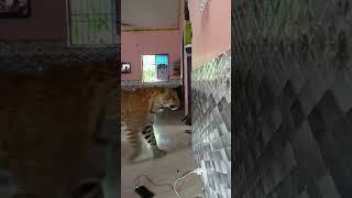 Download lagu 22 October 2025 mp3 Download lagu 22 October 2025 mp3