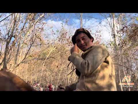 Tradicional pega de boi local povoado São Francisco ￼alto longa pi #pegadeboi ￼￼