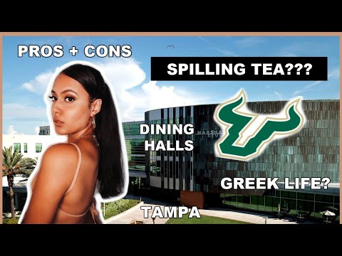 EVERYTHING YOU NEED TO KNOW ABOUT USF! | University of South Florida