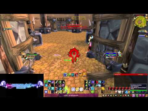 level 90 2v2 arena hunter/lock vs hunter/ret patch 5.1 w/skype